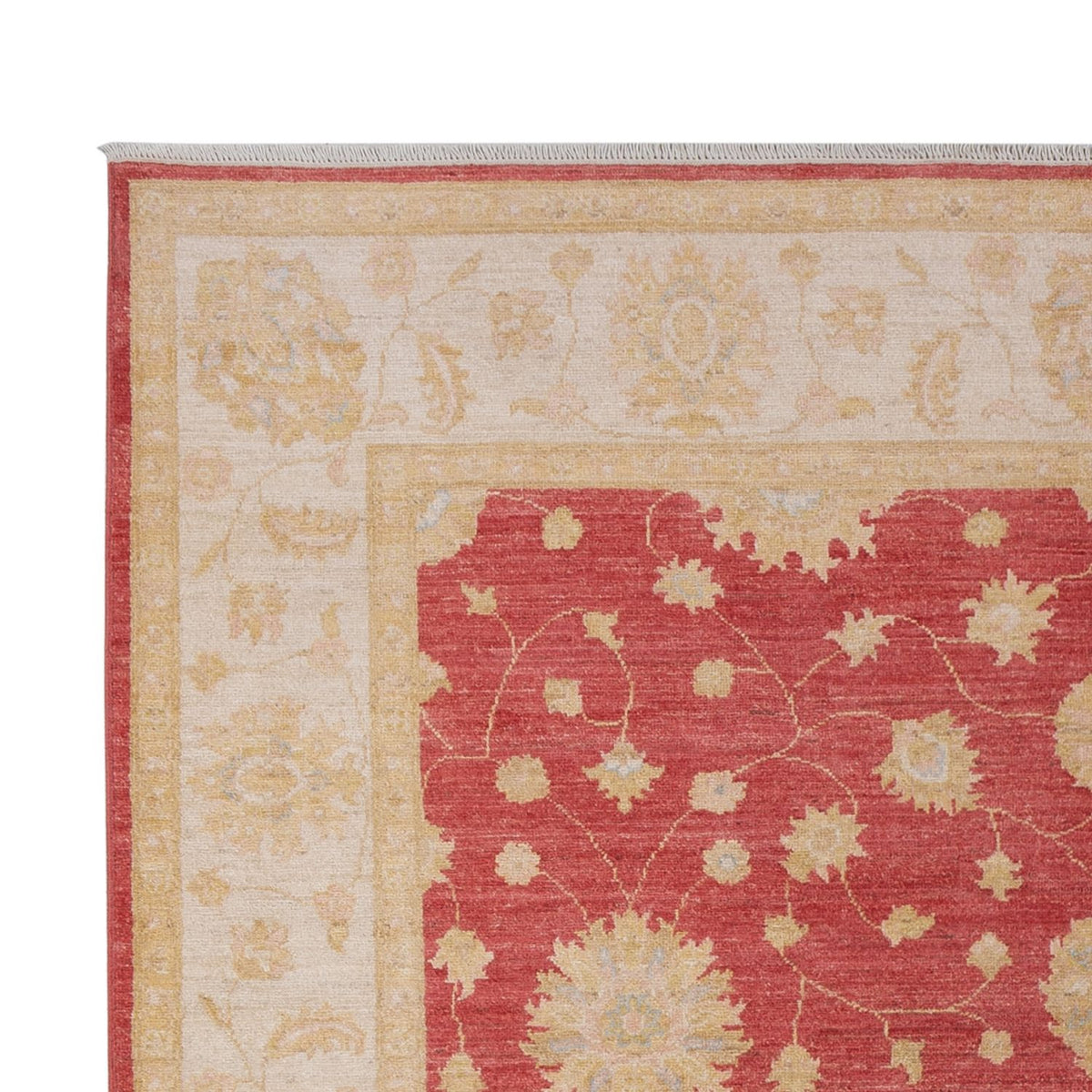 Ziegler Rug - 296 x 203 cm - dark red