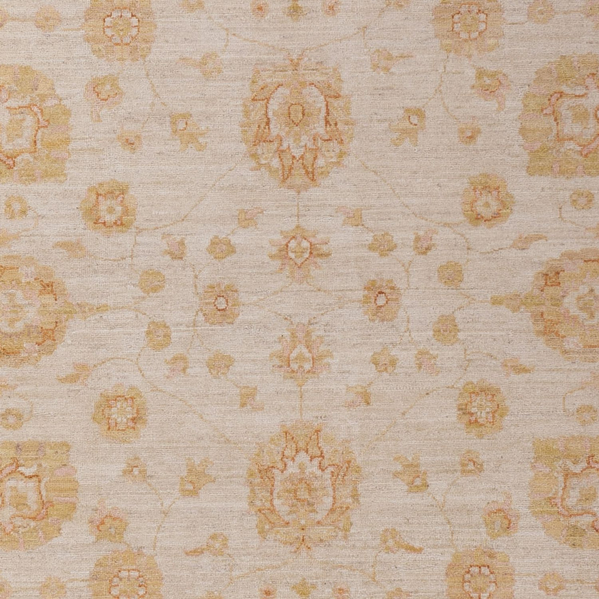 Ziegler Rug - 293 x 204 cm - beige