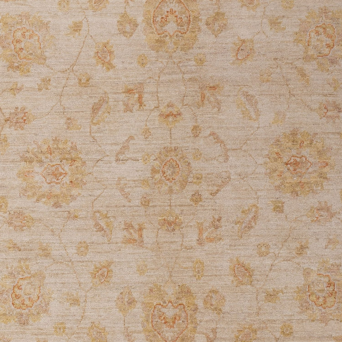 Ziegler Rug - 292 x 198 cm - beige