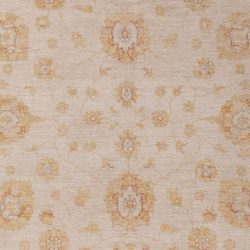 Ziegler Rug - 292 x 206 cm - beige