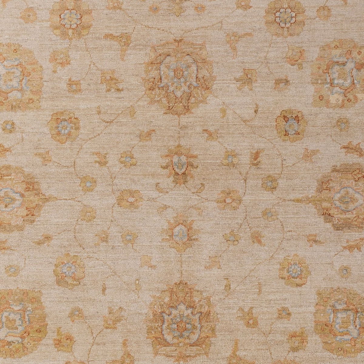 Ziegler Rug - 298 x 201 cm - beige