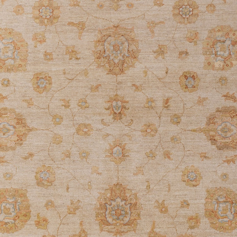Ziegler Rug - 298 x 201 cm - beige