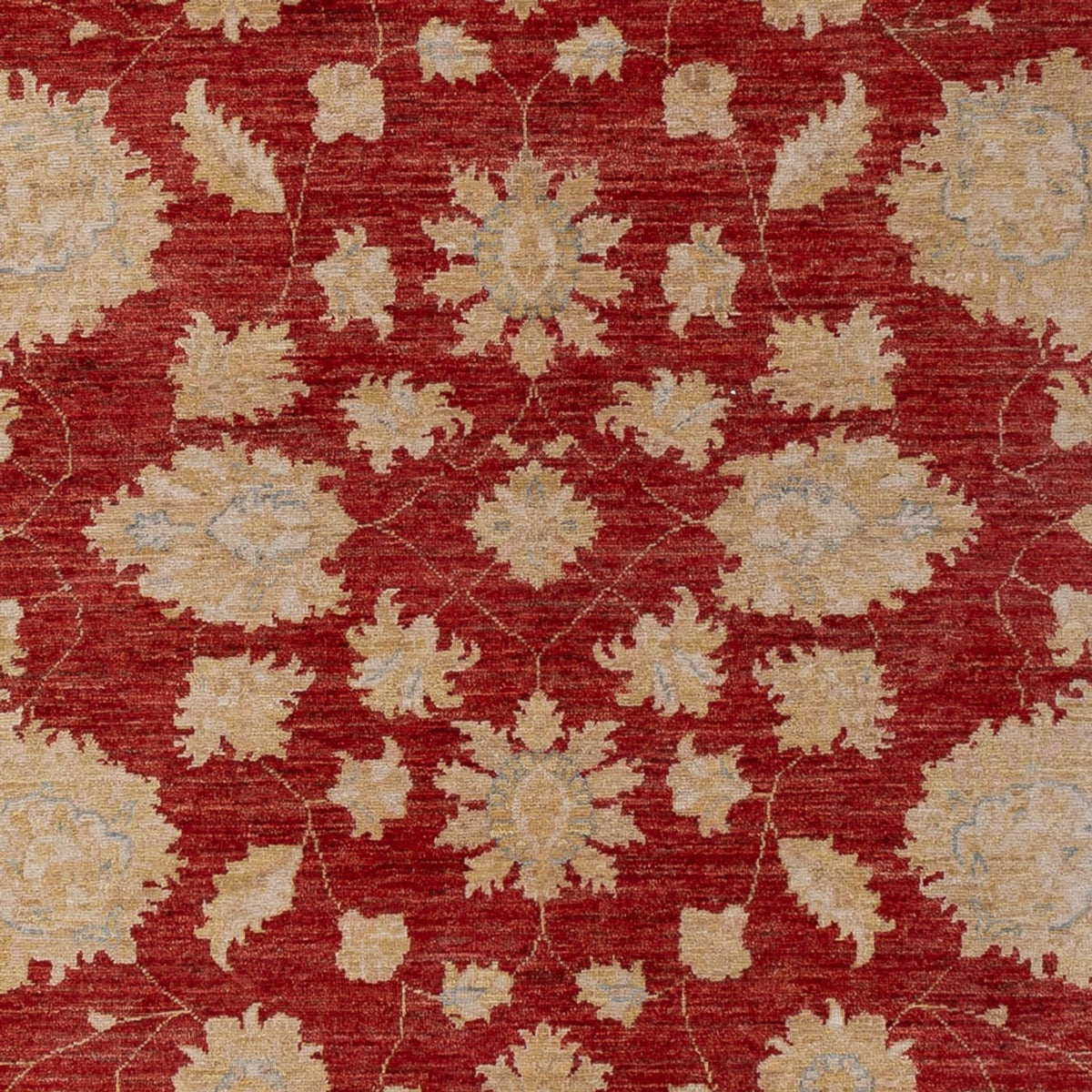 Ziegler Rug - 295 x 201 cm - dark red