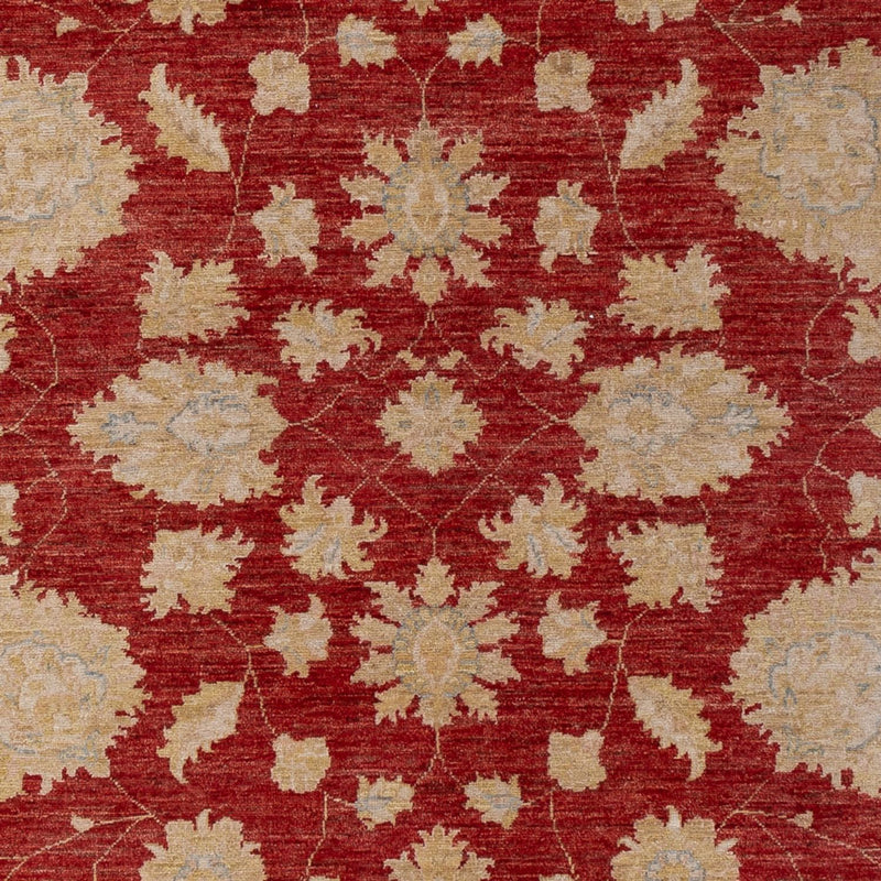 Ziegler Rug - 295 x 201 cm - dark red