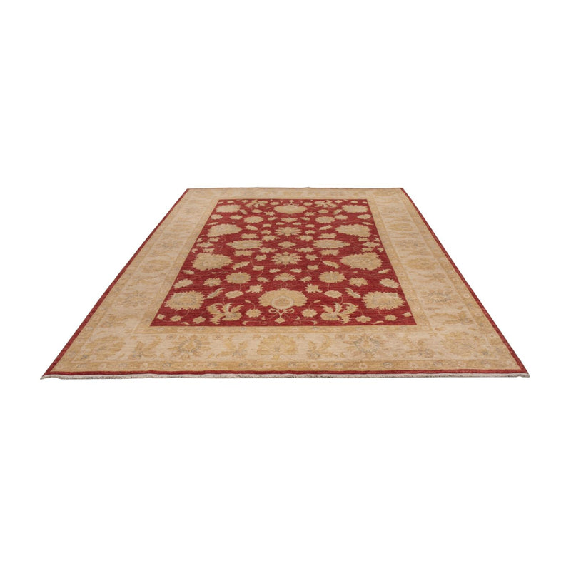 Ziegler Rug - 295 x 201 cm - dark red
