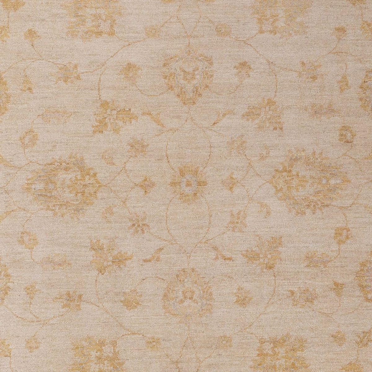 Ziegler Rug - 296 x 202 cm - beige