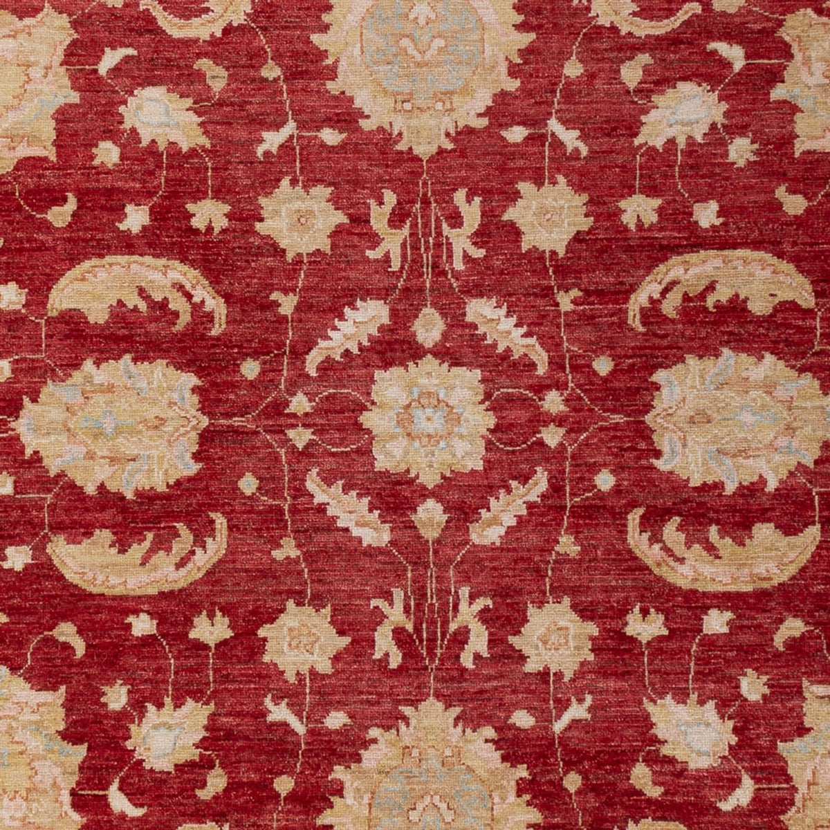 Ziegler Rug - 303 x 204 cm - dark red