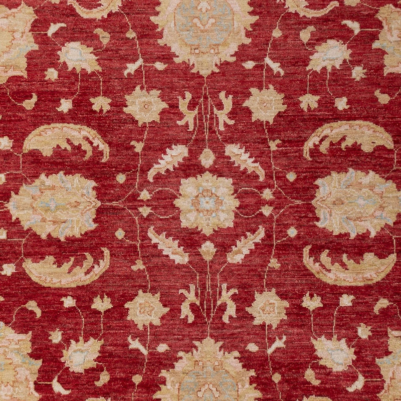 Ziegler Rug - 303 x 204 cm - dark red