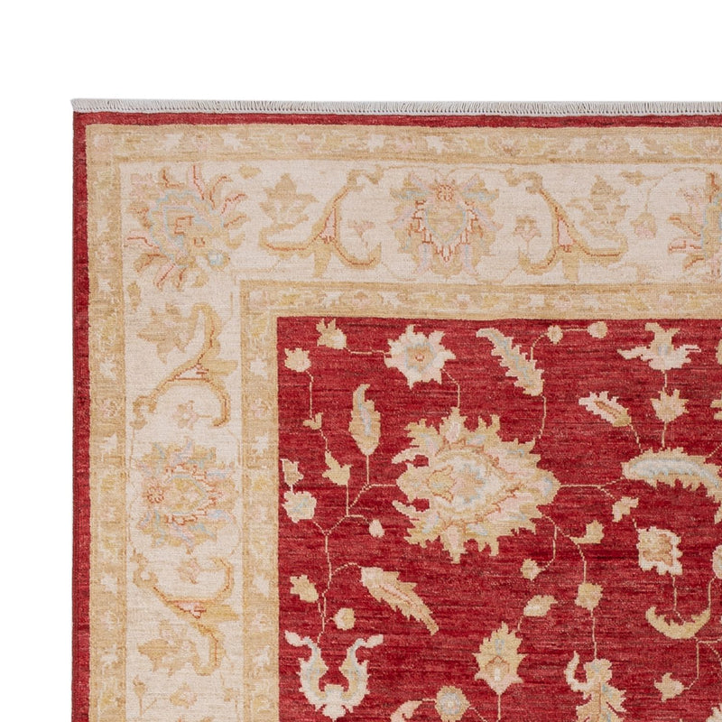 Ziegler Rug - 303 x 204 cm - dark red