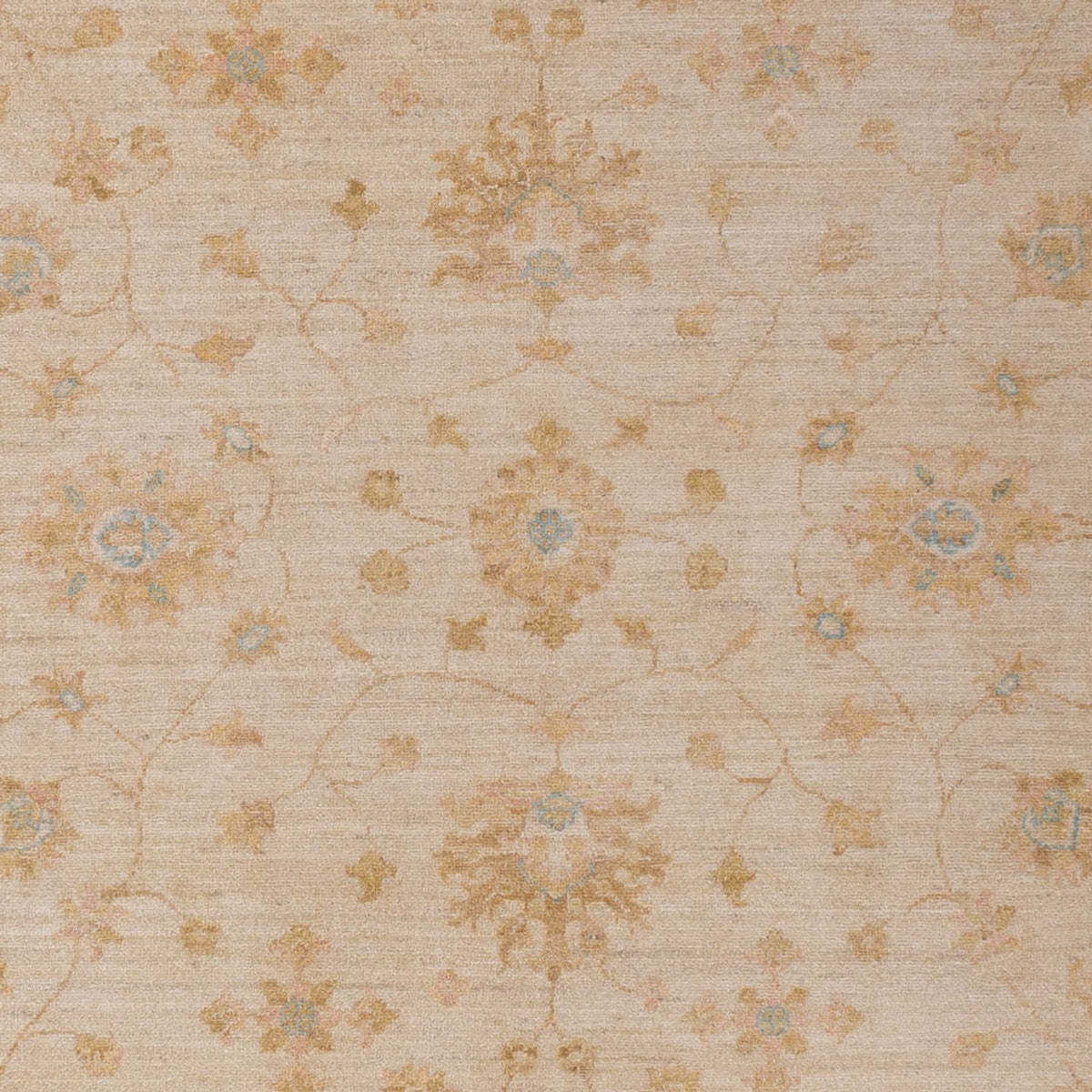Ziegler Rug - 302 x 205 cm - beige