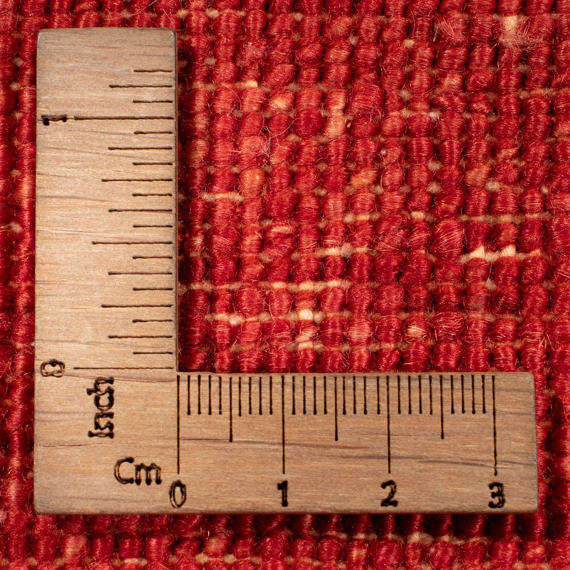 Ziegler Rug - Ariana - 295 x 204 cm - red