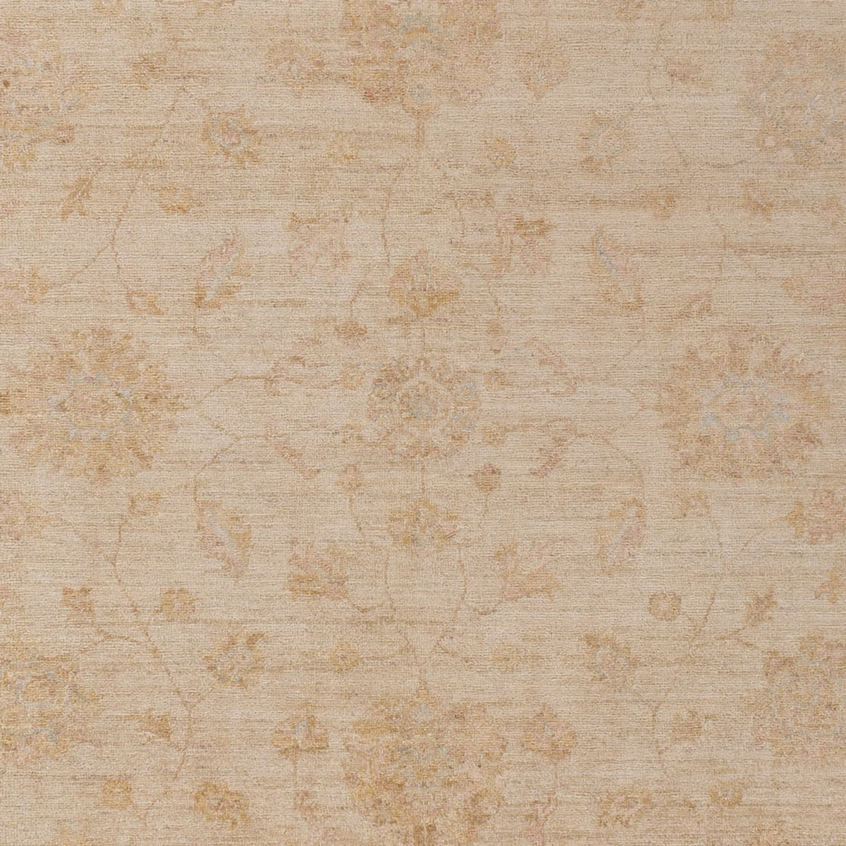 Ziegler Rug - 292 x 205 cm - beige