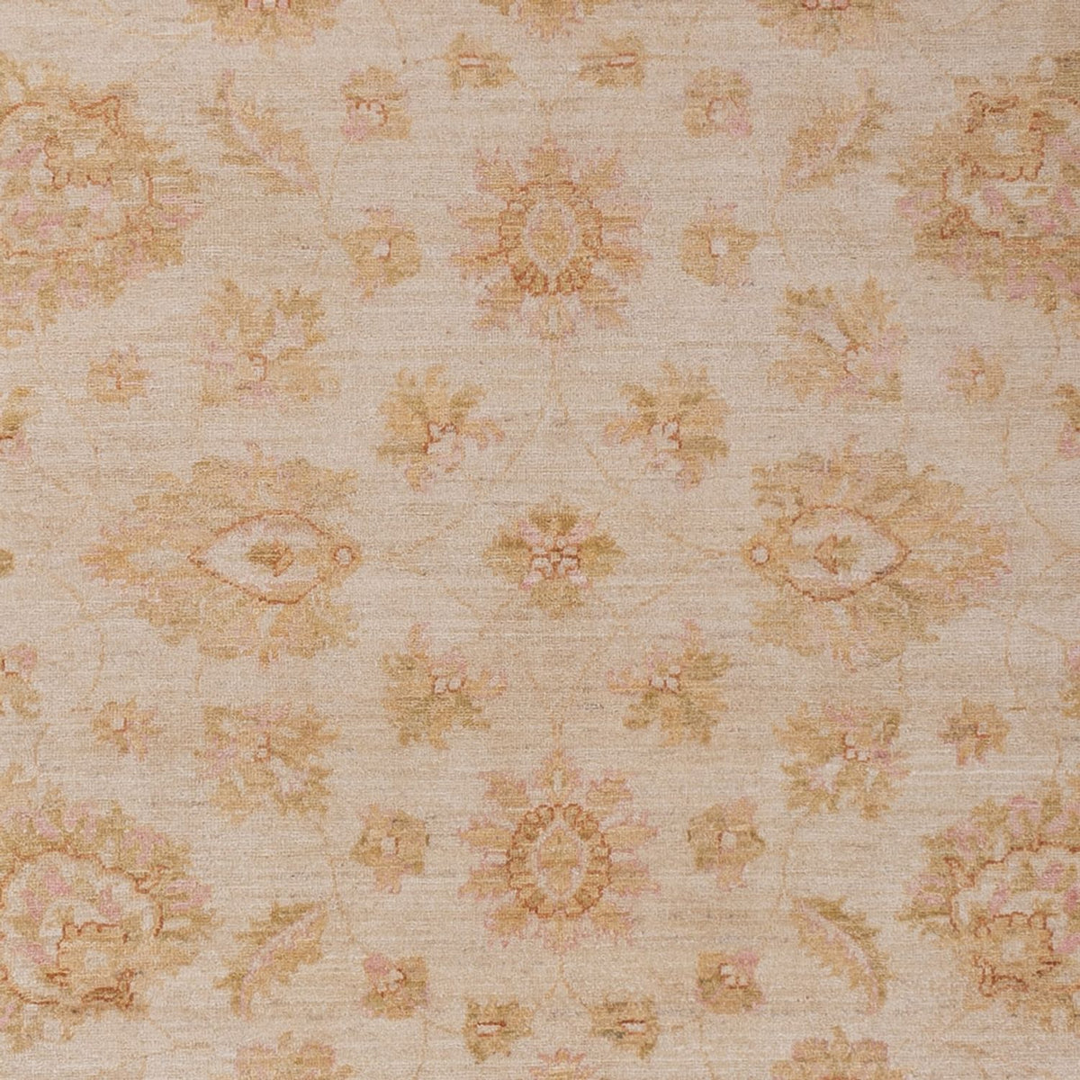Ziegler Rug - 286 x 204 cm - beige