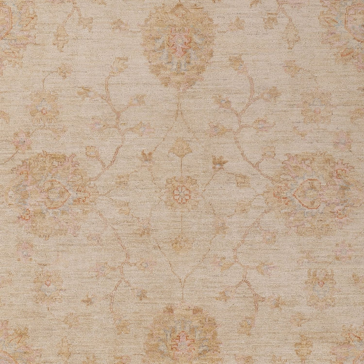 Ziegler Rug - 293 x 208 cm - beige
