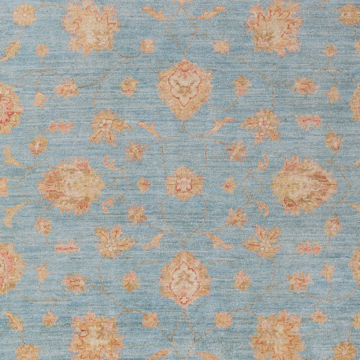 Ziegler Rug - 298 x 206 cm - light blue