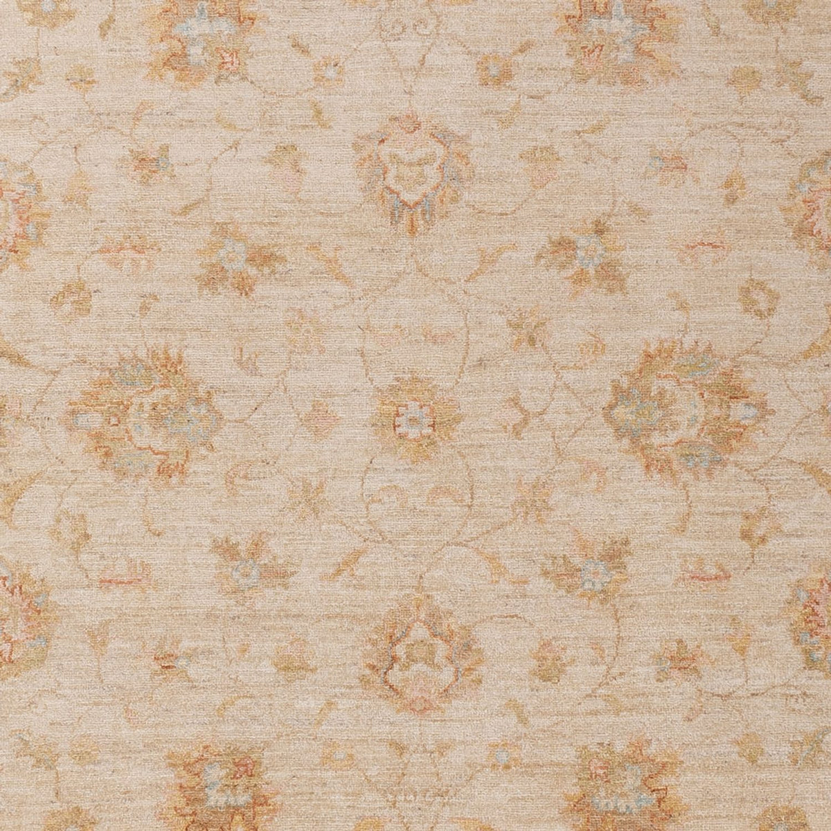 Ziegler Rug - 293 x 204 cm - beige