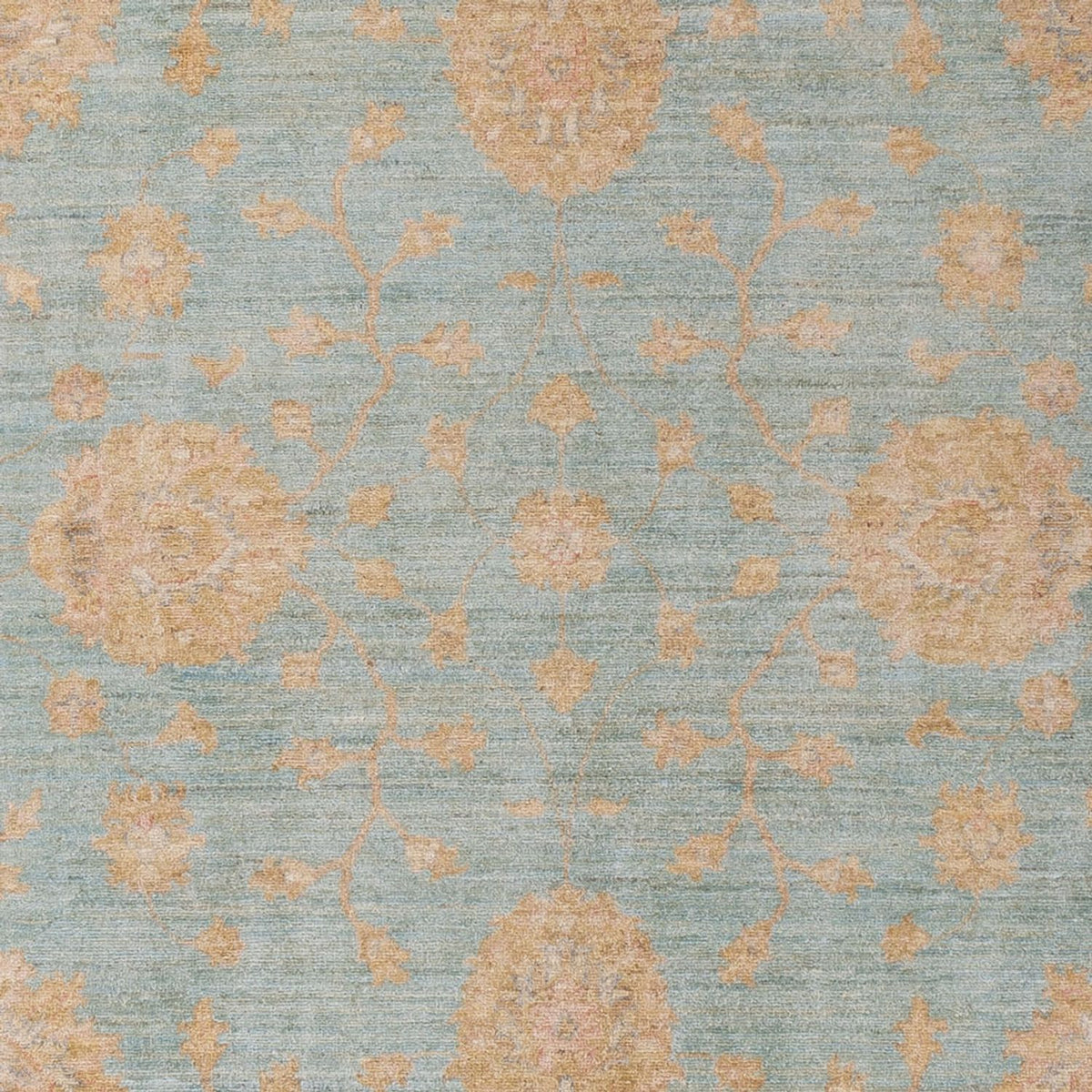 Ziegler Rug - 298 x 209 cm - light blue