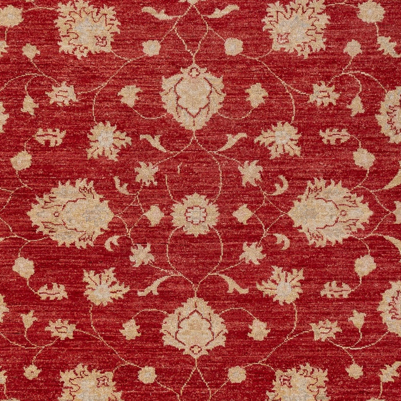 Ziegler Rug - 298 x 210 cm - red
