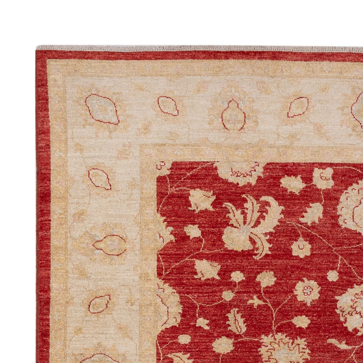 Ziegler Rug - 298 x 210 cm - red