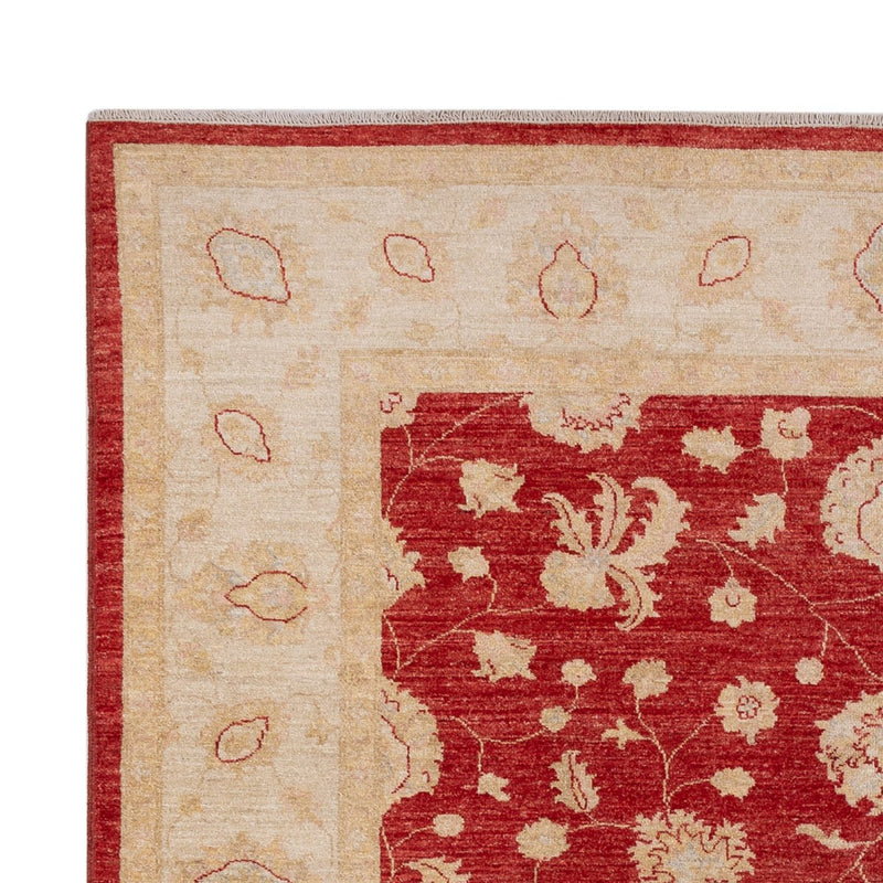 Ziegler Rug - 298 x 210 cm - red