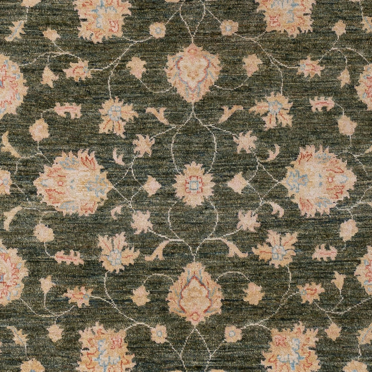 Ziegler Rug - 294 x 201 cm - dark green