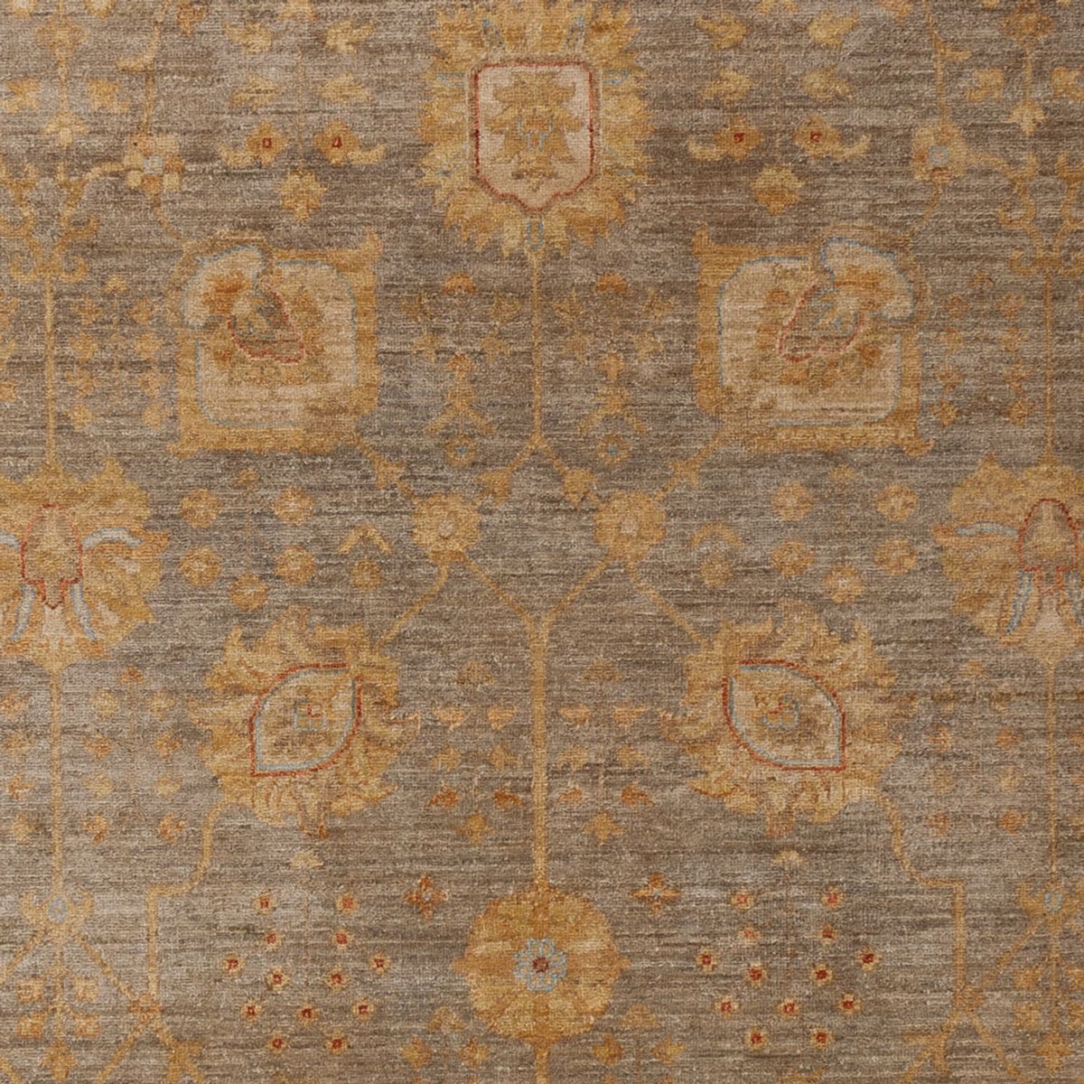 Ziegler Rug - Modern - 300 x 204 cm - dark beige