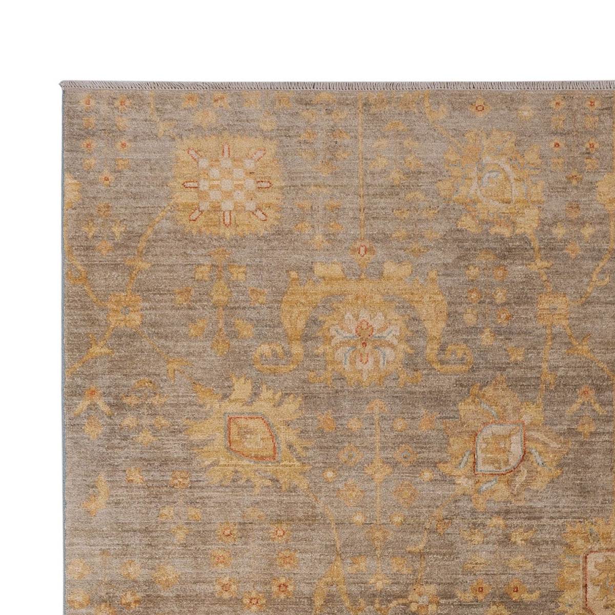Ziegler Rug - Modern - 300 x 204 cm - dark beige