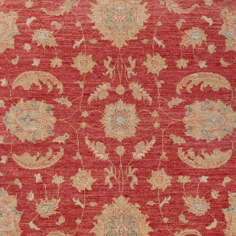 Ziegler Rug - 297 x 202 cm - red