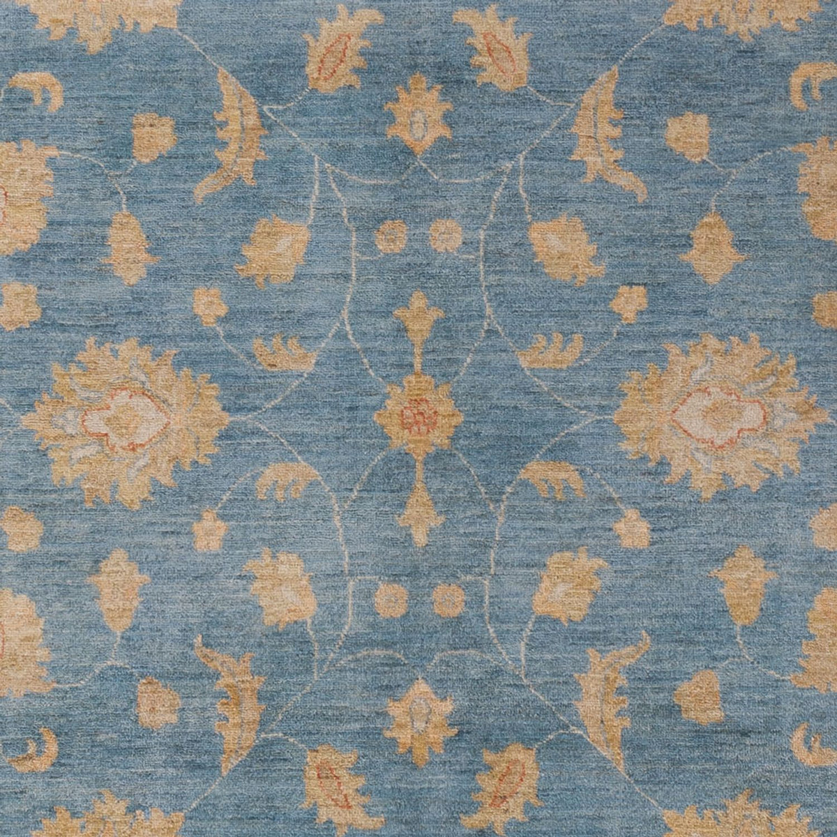 Ziegler Rug - 300 x 207 cm - blue