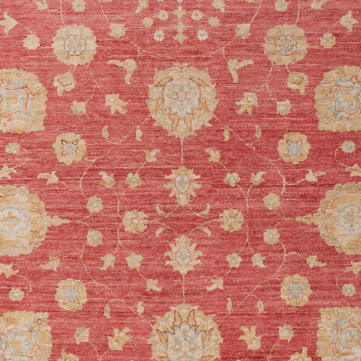 Ziegler Rug - 293 x 205 cm - red