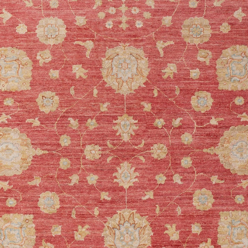 Ziegler Rug - 293 x 205 cm - red