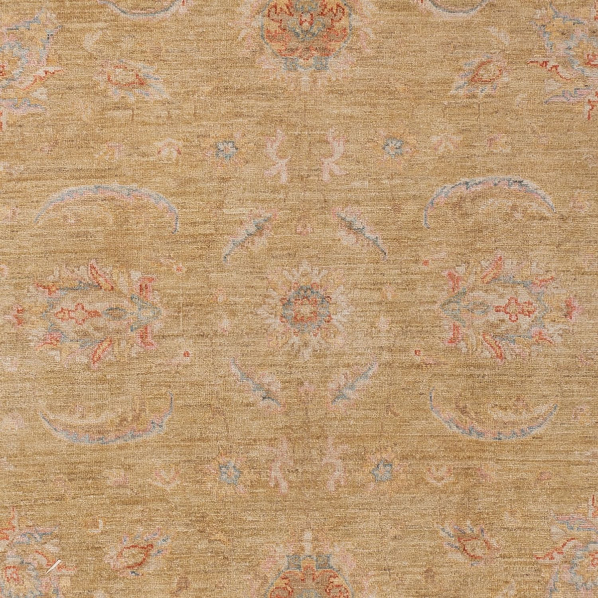 Ziegler Rug - 298 x 199 cm - gold