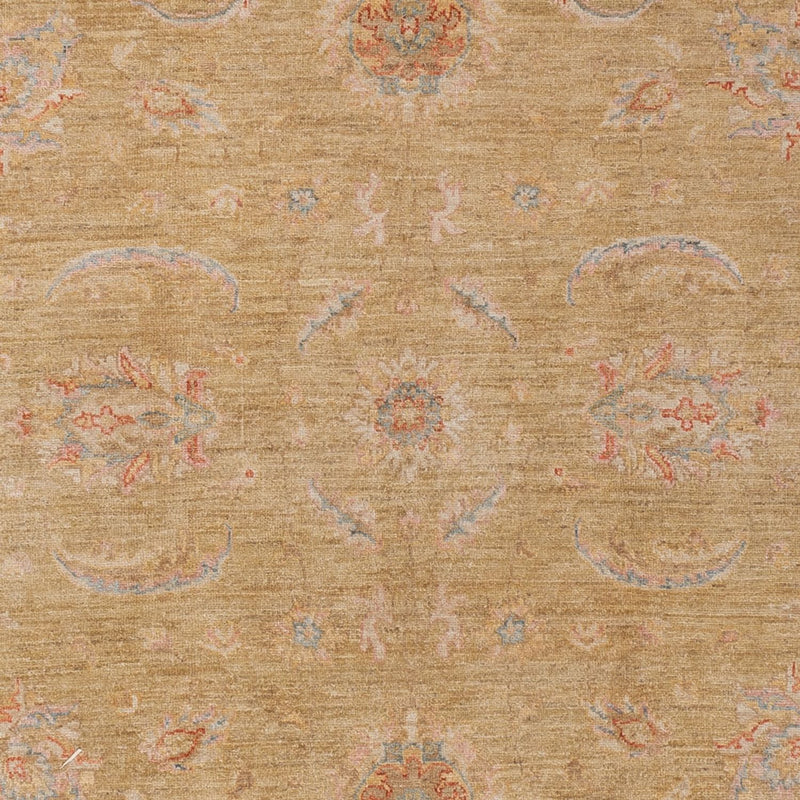 Ziegler Rug - 298 x 199 cm - gold