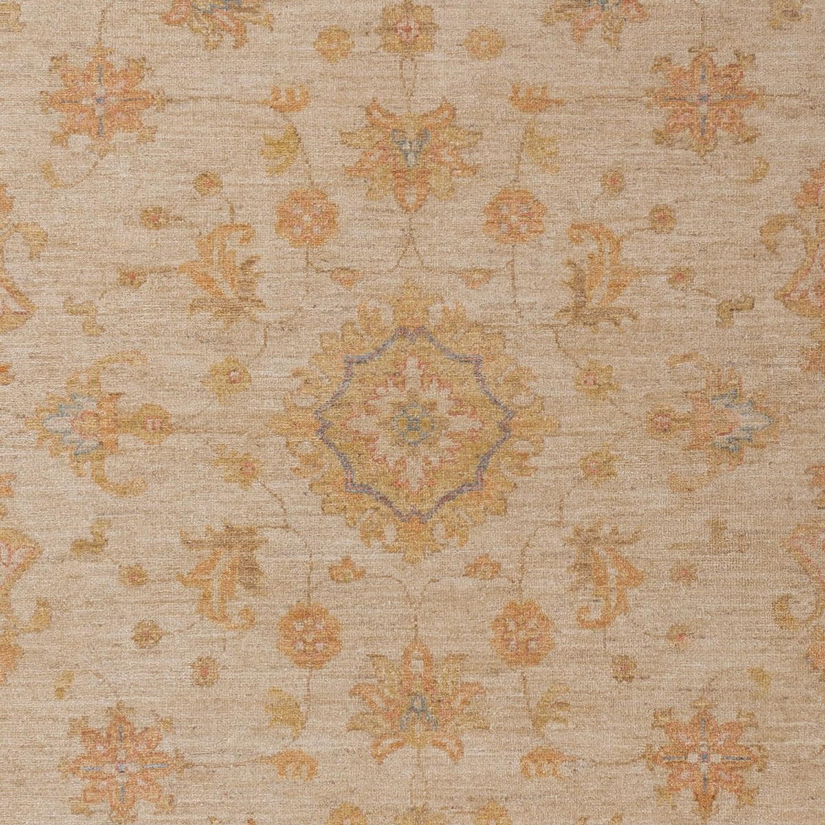 Ziegler Rug - 280 x 209 cm - beige