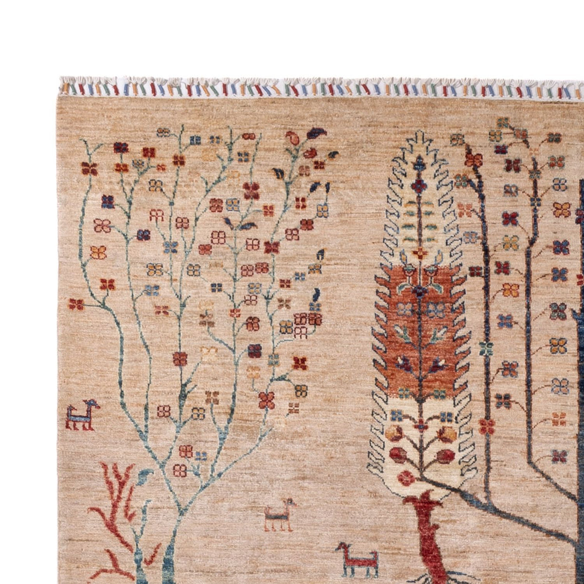 Ziegler Rug - Ariana - 303 x 204 cm - beige