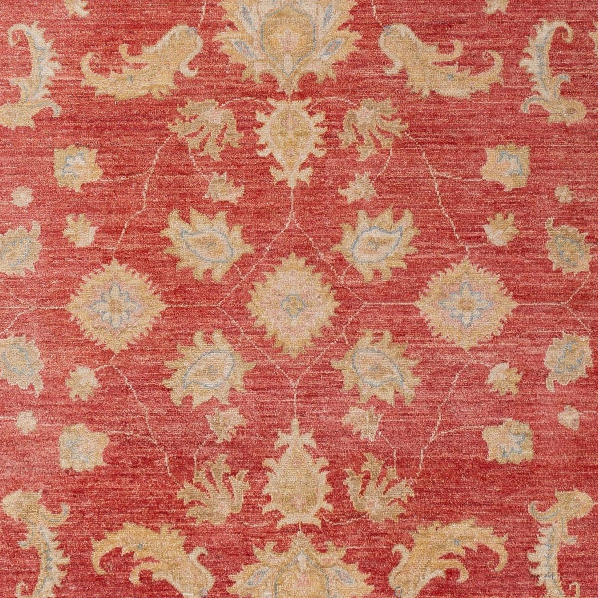 Ziegler Rug - 303 x 210 cm - red
