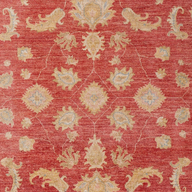 Ziegler Rug - 303 x 210 cm - red
