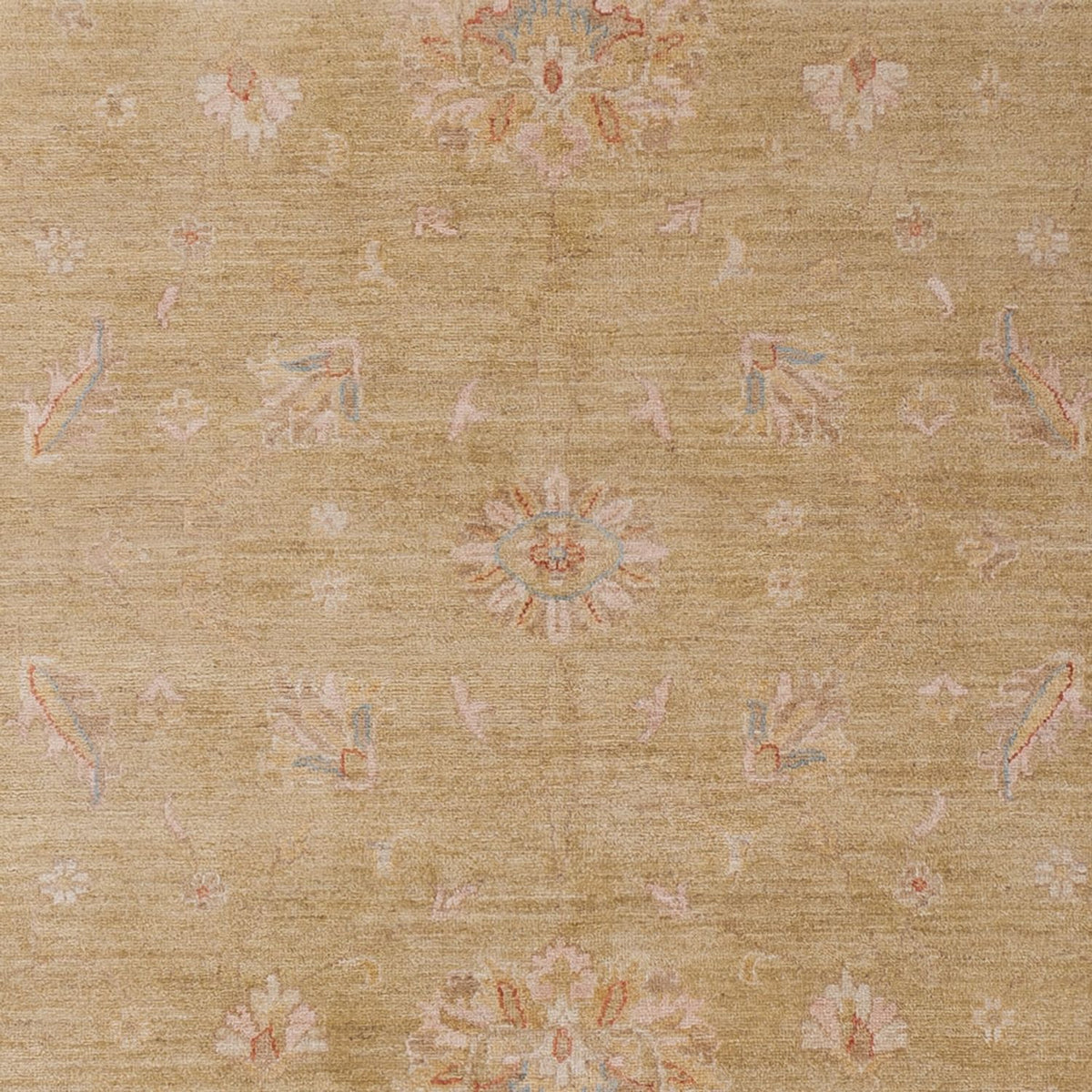 Ziegler Rug - 290 x 205 cm - beige