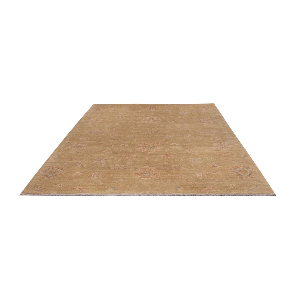 Ziegler Rug - 290 x 205 cm - beige