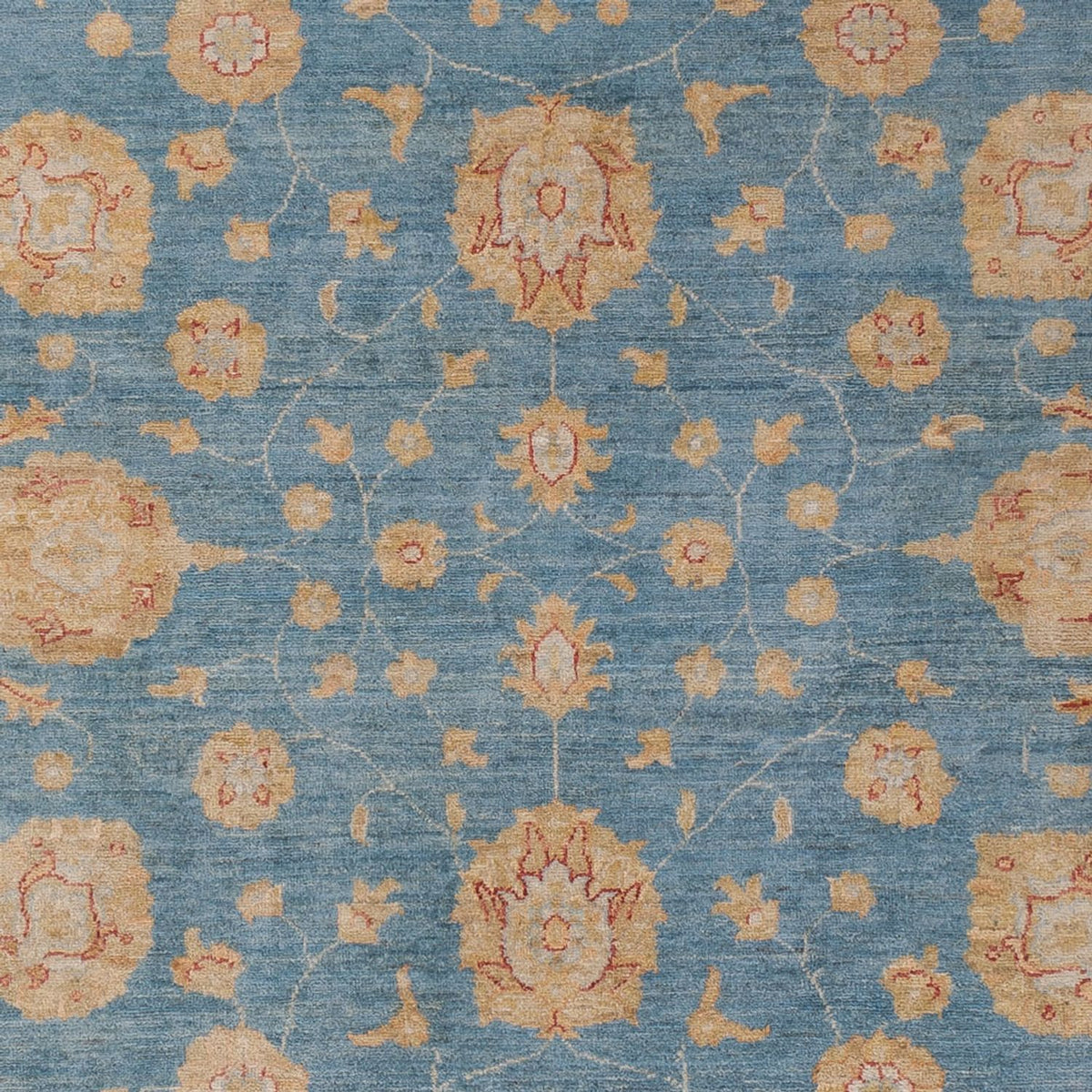 Ziegler Rug - 296 x 202 cm - blue