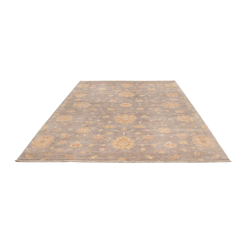 Ziegler Rug - Modern - 296 x 206 cm - dark grey