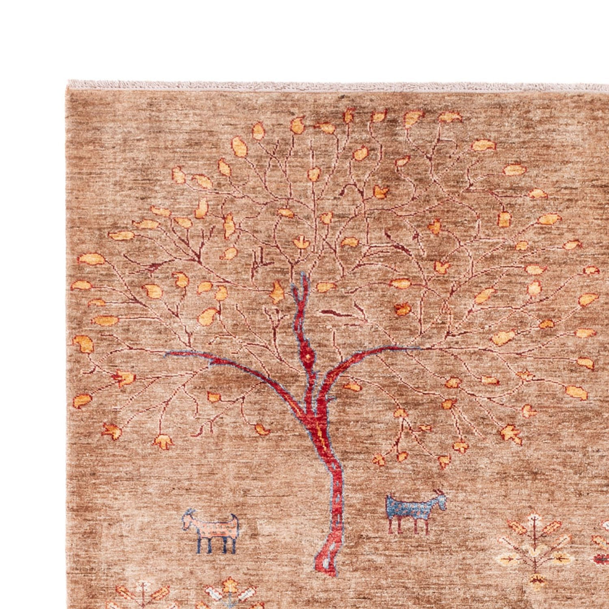 Ziegler Rug - Ariana - 291 x 210 cm - light brown