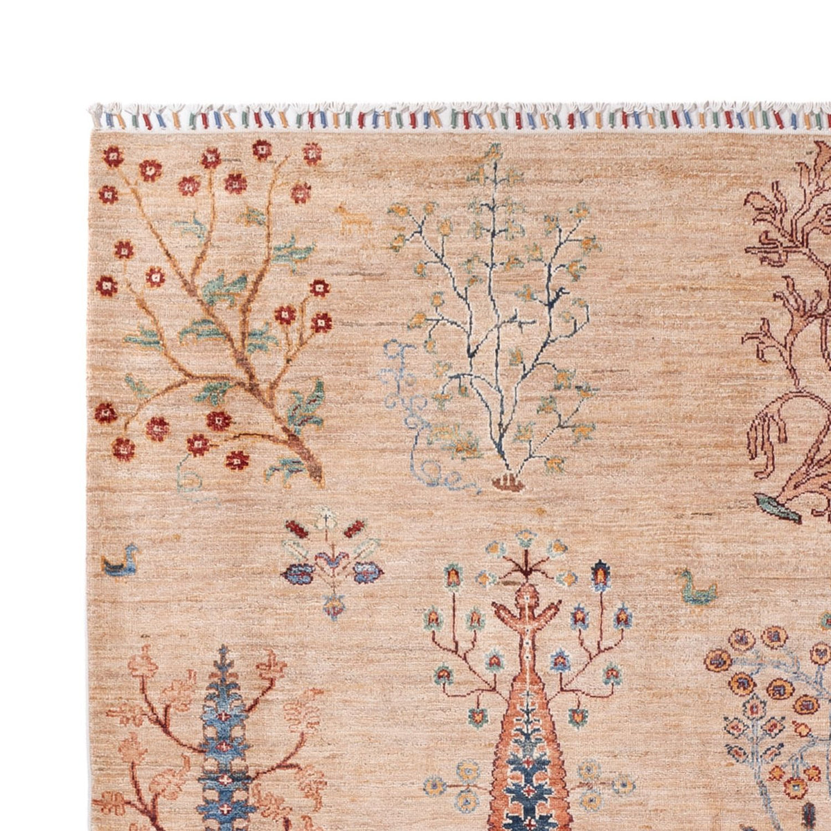 Ziegler Rug - Ariana - 293 x 206 cm - beige