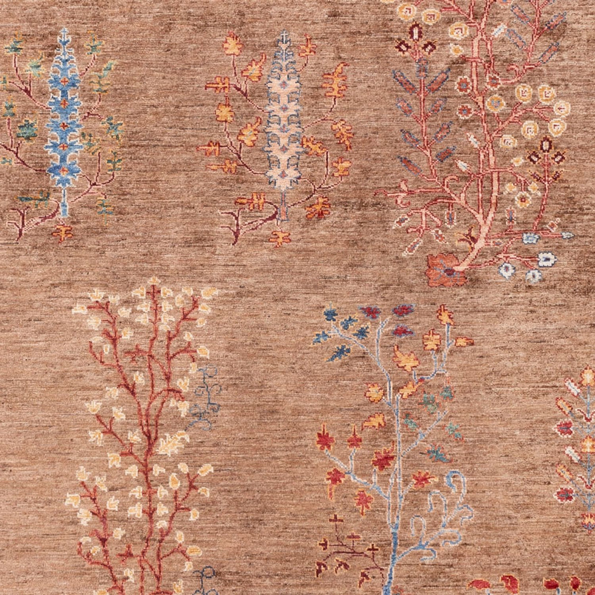 Ziegler Rug - Ariana - 298 x 206 cm - dark beige