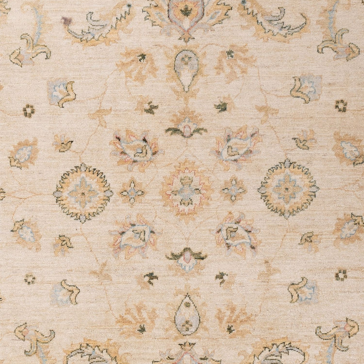 Ziegler Rug - 304 x 204 cm - beige