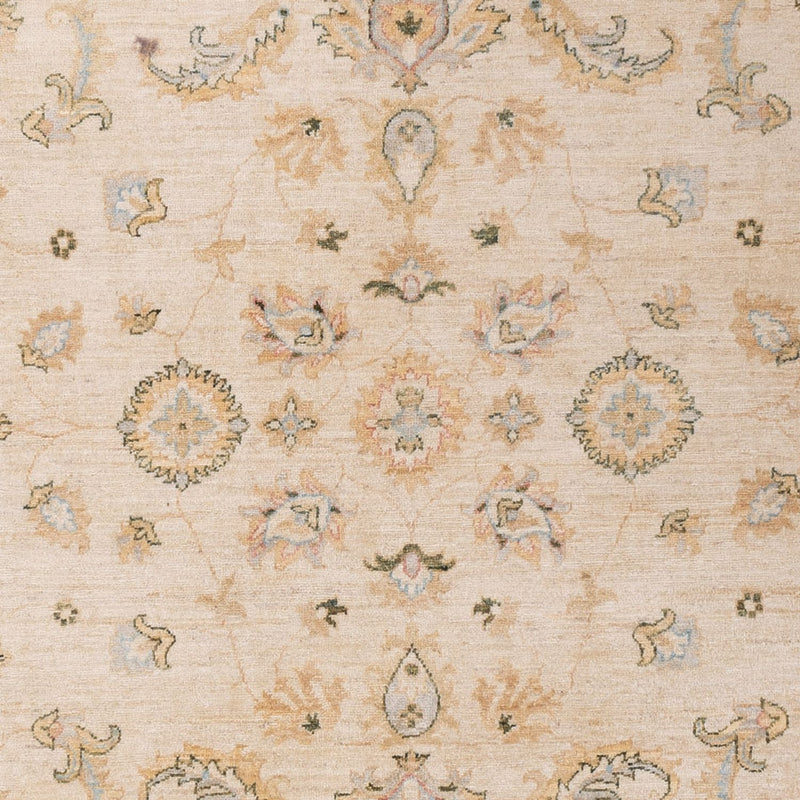 Ziegler Rug - 304 x 204 cm - beige