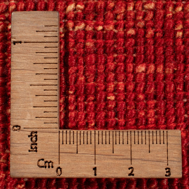 Ziegler Rug - Ariana - 289 x 207 cm - red