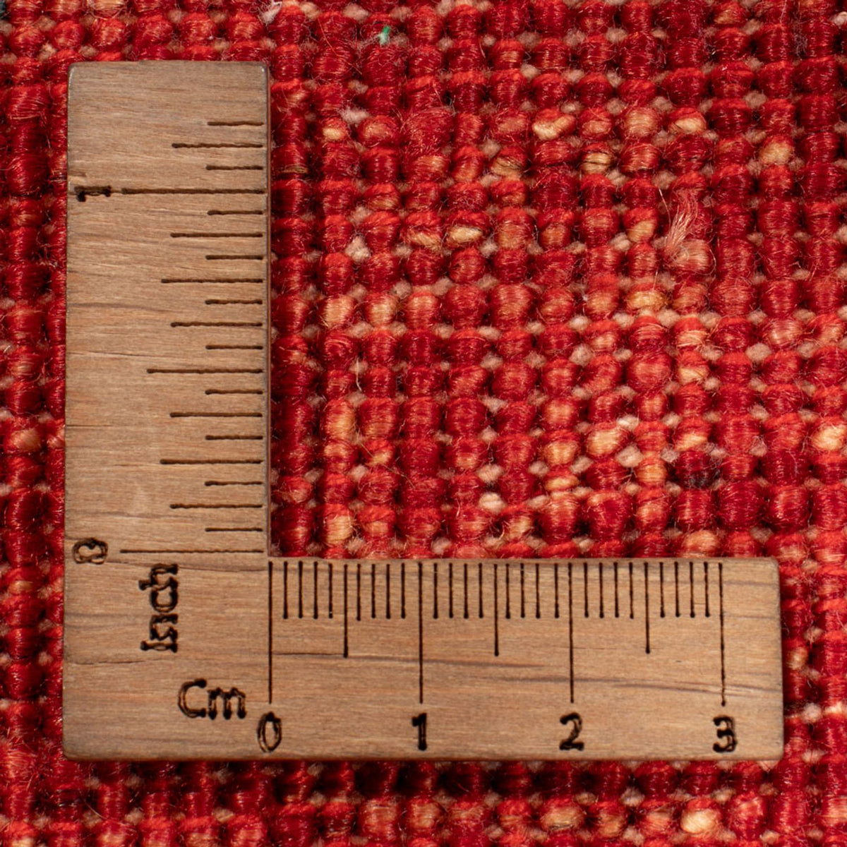 Ziegler Rug - Ariana - 294 x 207 cm - red