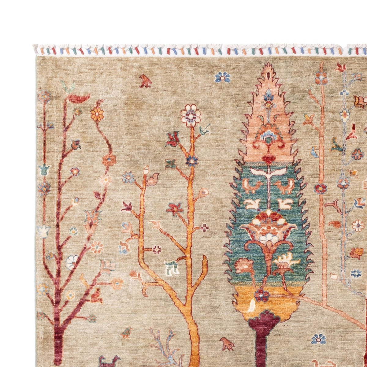 Ziegler Rug - Ariana - 290 x 207 cm - sand