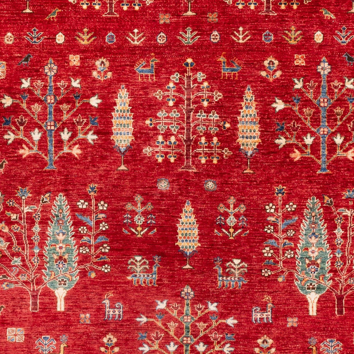 Ziegler Rug - Ariana - 300 x 206 cm - red
